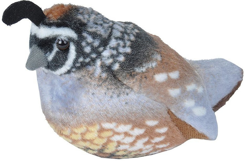 Stuffed birds with sounds sale