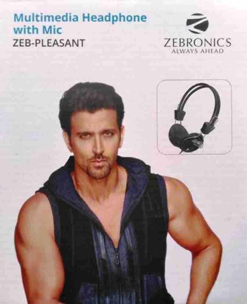 Zebronics best sale zeb pleasant