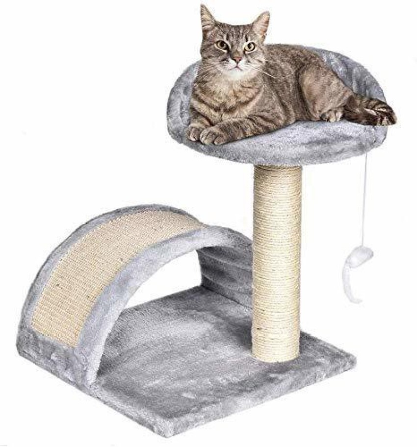 Cat stand outlet bed