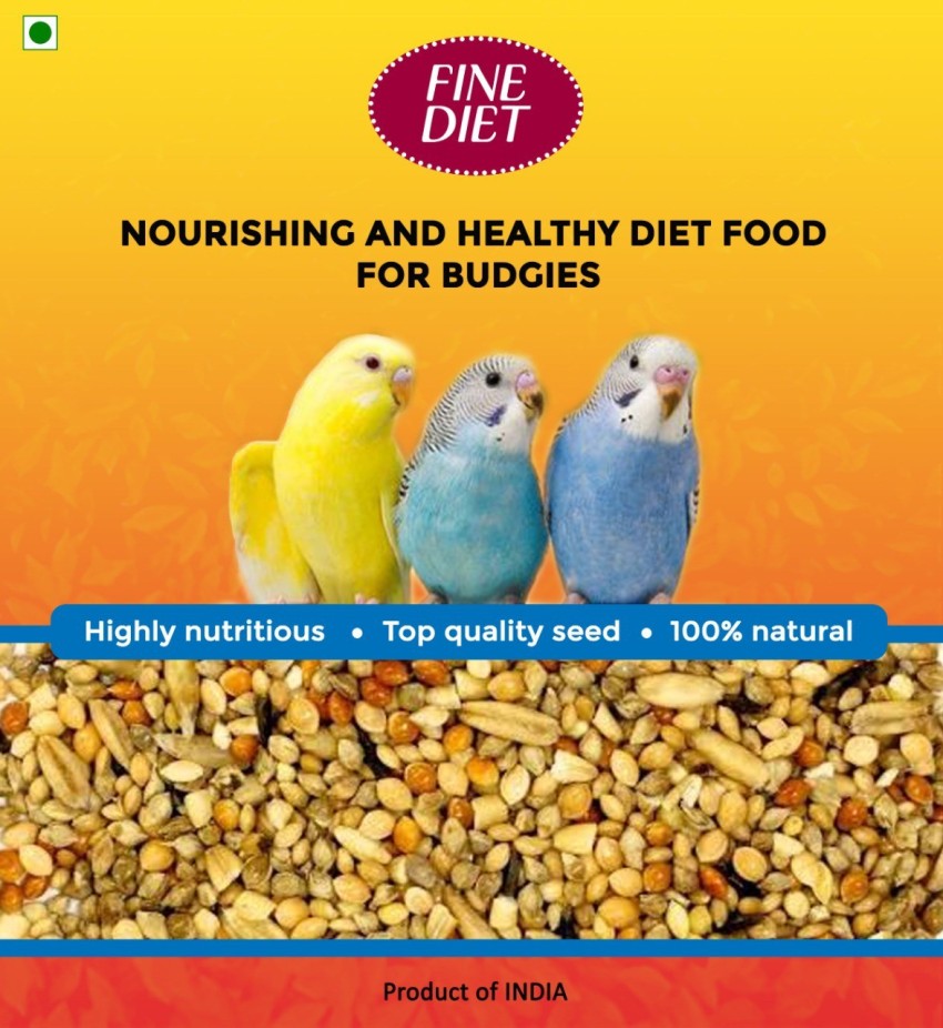 Budgie bird outlet diet