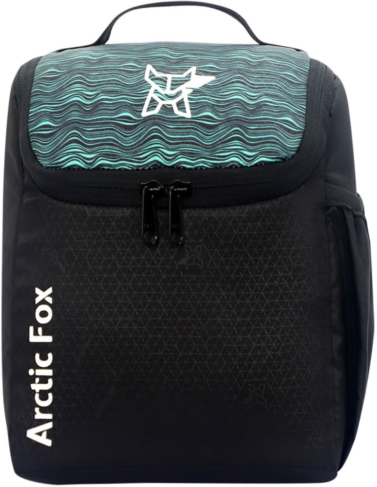 Arctic fox bags online flipkart