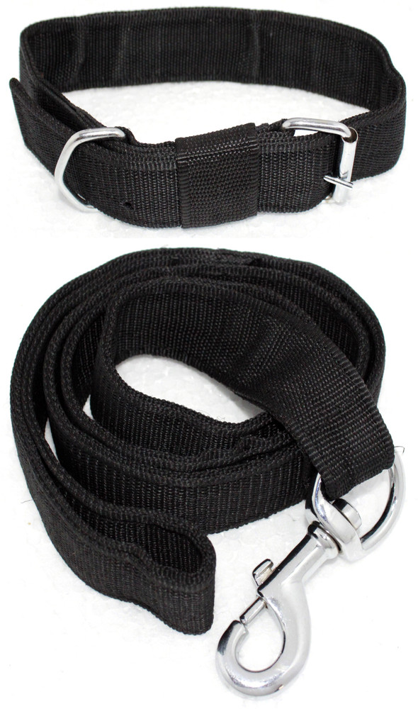 Dog belt shop in flipkart