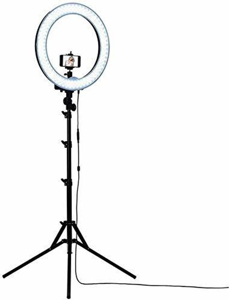 Tiktok light stand shop price in flipkart