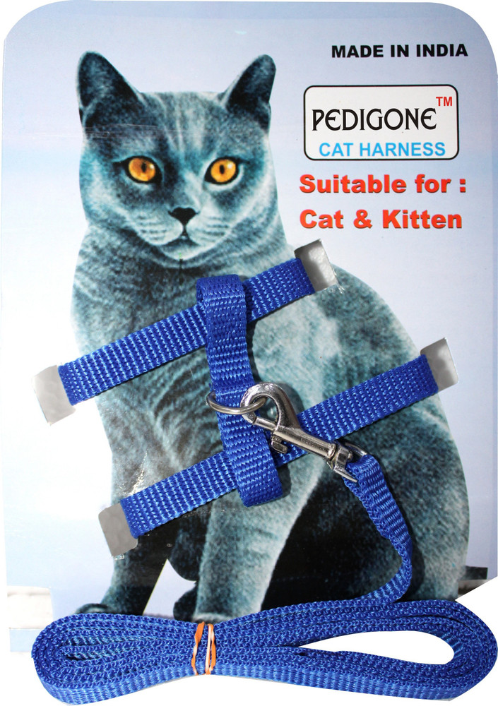 Blue cat harness store