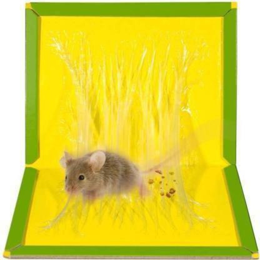 soniya enterprises Mouse & Rat Trap Sticky Glue Pad Set of 2 ( Size:  16.7cms x 24cm) Snap Trap Snap Trap Price in India - Buy soniya enterprises  Mouse & Rat Trap