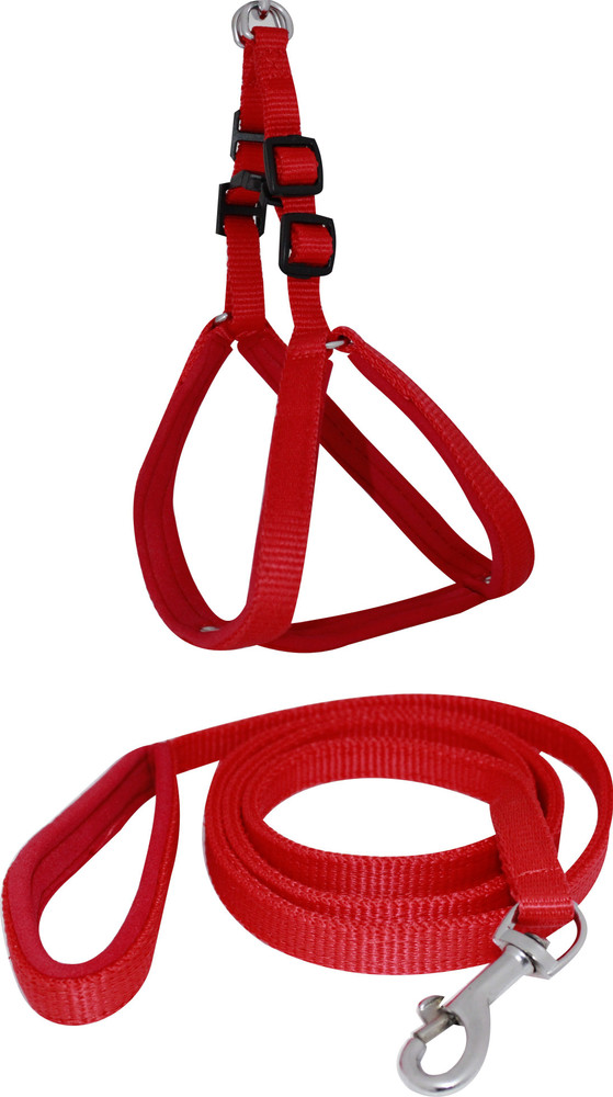 Flipkart SmartBuy Dog Belt Combo of 1 2 inch Padded Red Puppy Body Harness with Soft Handle Padded Red Dog Leash Specially for Small Dogs Adjustable