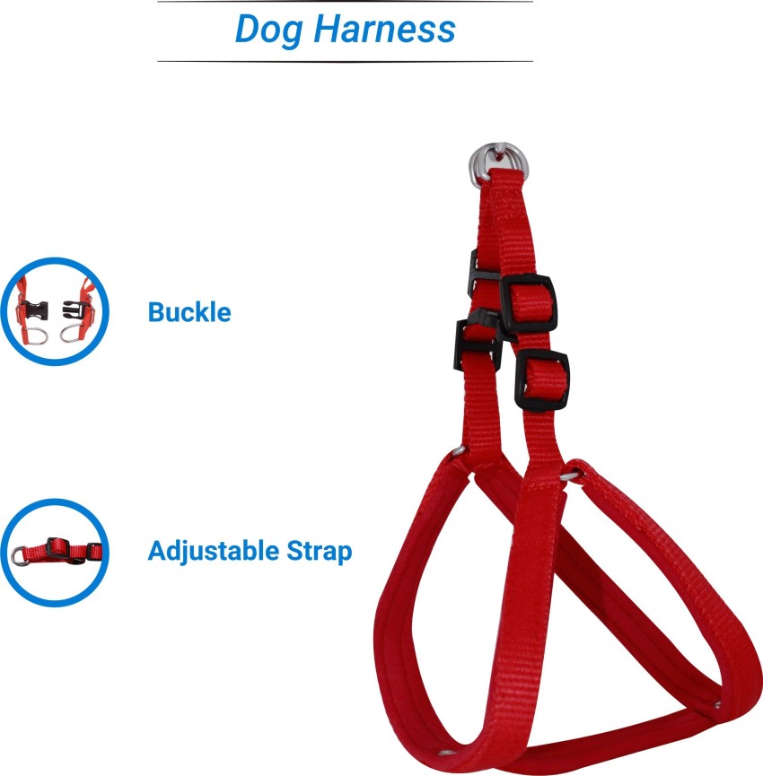 Dog best sale belt flipkart