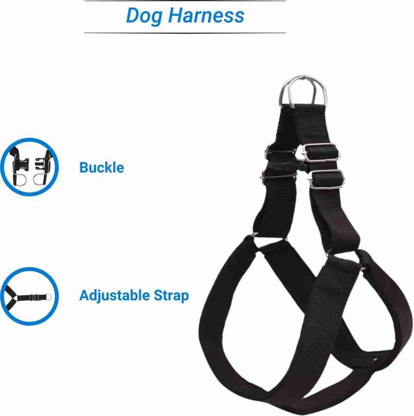 Dog body sale belt flipkart