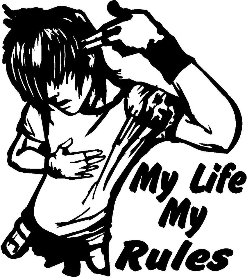 Cycle stickers flipkart cheap