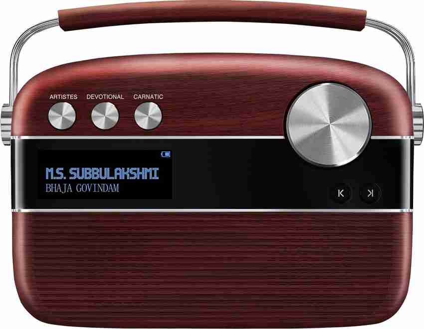 Saregama carvaan price flipkart 2025