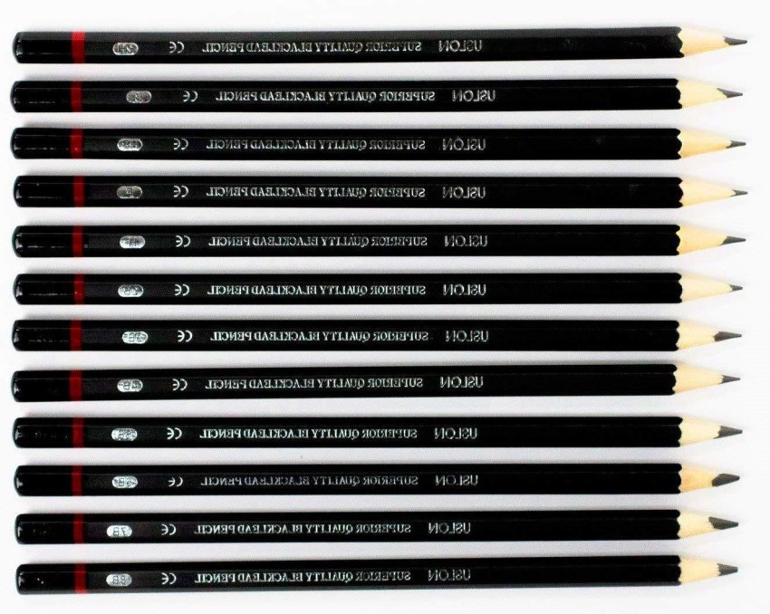 Levin Art Graphite Professional Drawing Sketching Pencil  Set- Artist Grade Degree Pencils 10B, 8B, 6B, 5B, 4B, 3B, 2B, B, HB, 2H, 4H  and 6H (Pack of 12), Art Blending