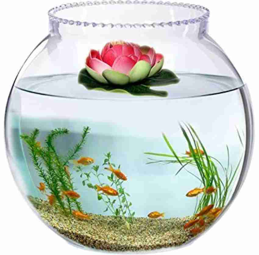 20 litre shop fish bowl