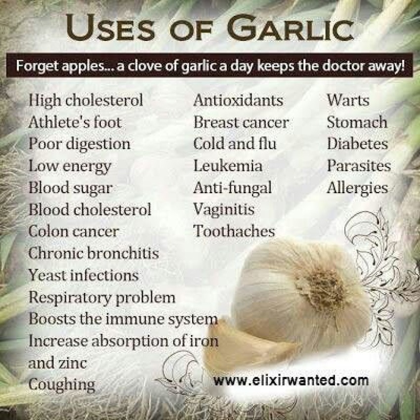 7 Days Garlic hair oil Controls Hair Fall growth hair Hair Oil