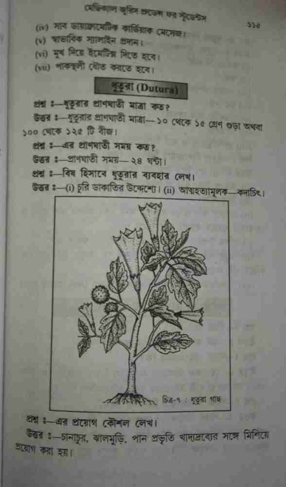 Bangla Meaning of Stem