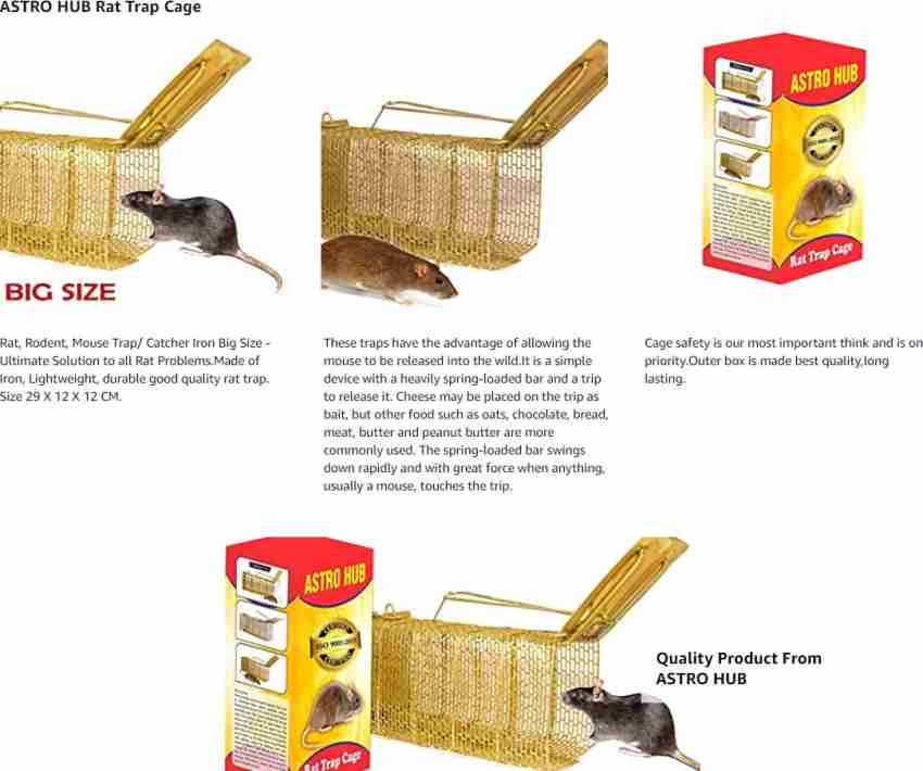 Cheap rat cages? : r/RATS