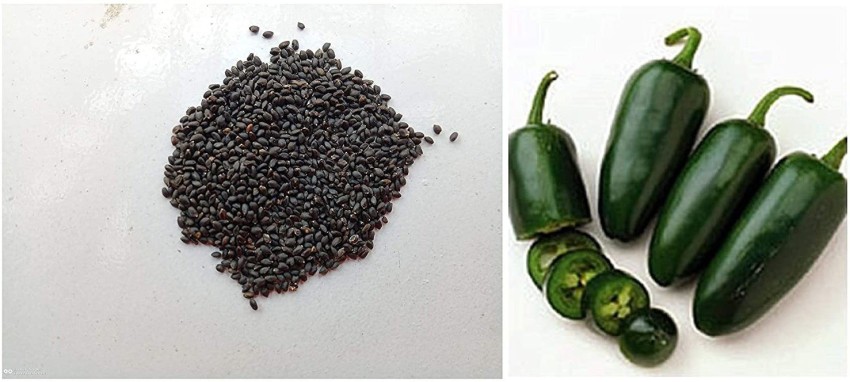 VibeX ™ VXI-507-Sweet Genovese Basil Organic Seeds & Pepper, Chili ...