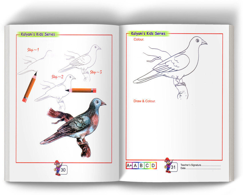 Pigeon Drawing Images - Free Download on Freepik