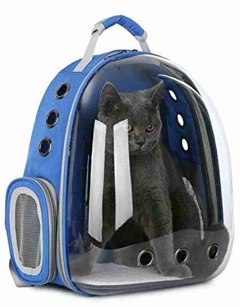 Cat carrier in store discount