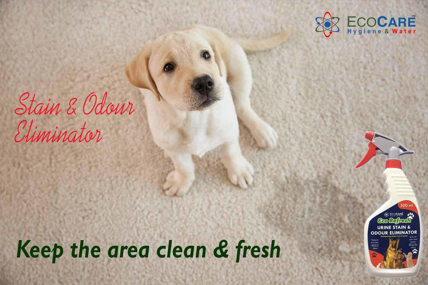 EcoCare Pet Urine Stain Odour Smell Eliminator 500ml for Dog