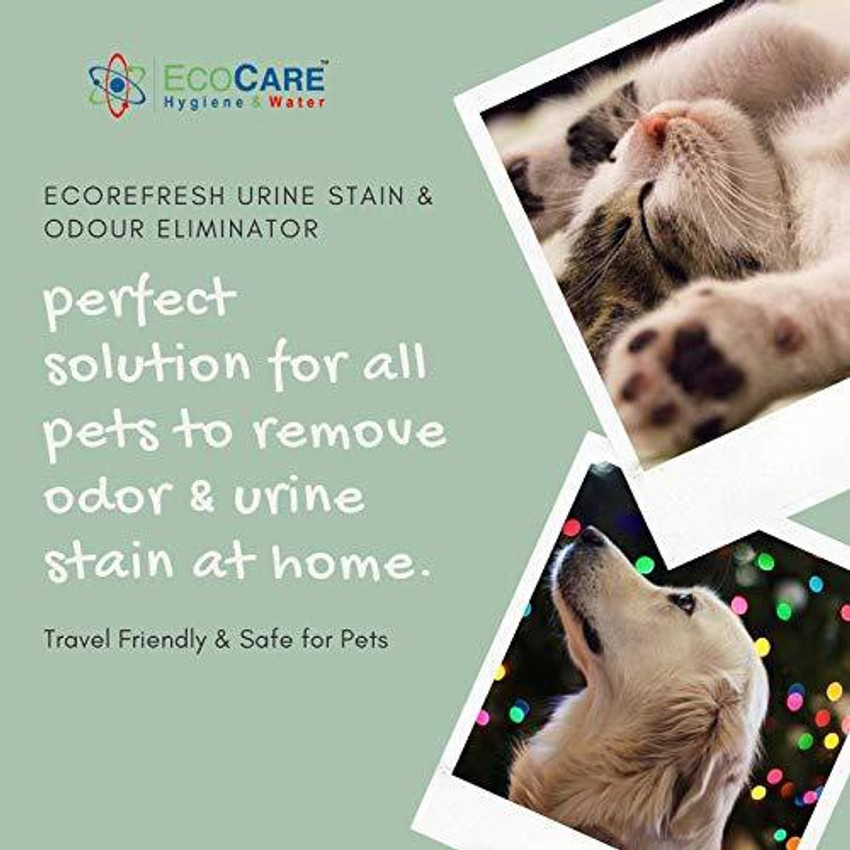 Cat and dog clearance urine odor removal