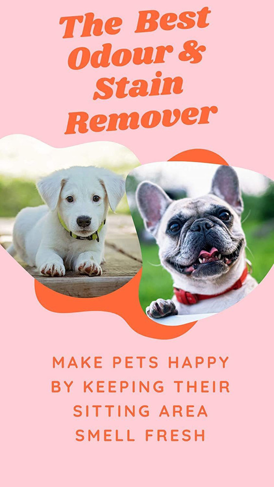 EcoCare Pet Urine Stain Odour Smell Eliminator for Cat and Dog
