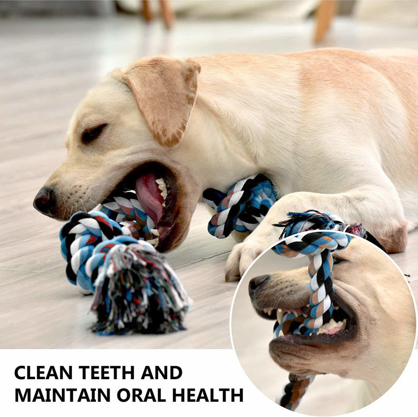 Organic toys for dogs new arrivals