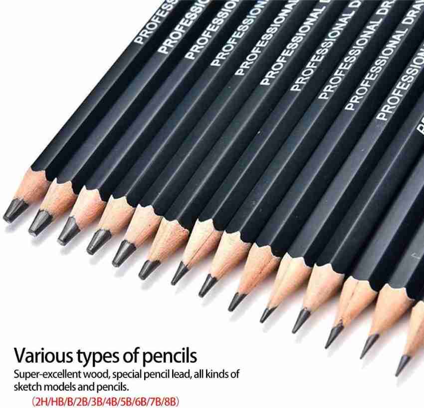 Sketching Pencils Complete Professional Graphite Pencil Set for Sketch  Drawing 12B to 6H Art Travel Set for Adults and Kids - Shading Pencils,  Drawing and Art Supplies, Sketching Set 