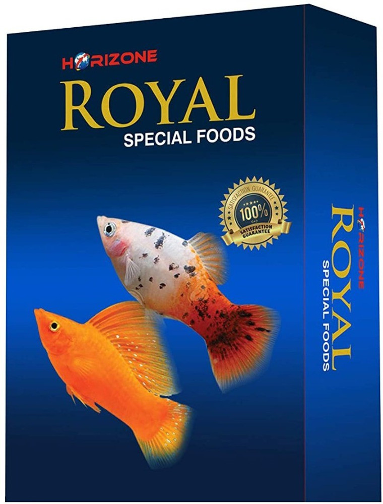 Molly fish food sale