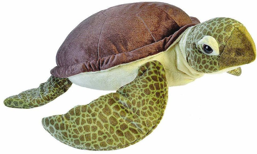 Wild republic clearance turtle