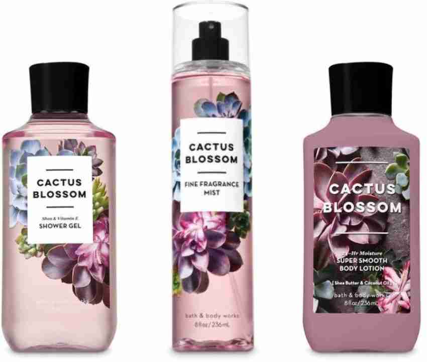 Cactus Blossom  Bath and body works perfume, Bath and body works, Bath and  body care