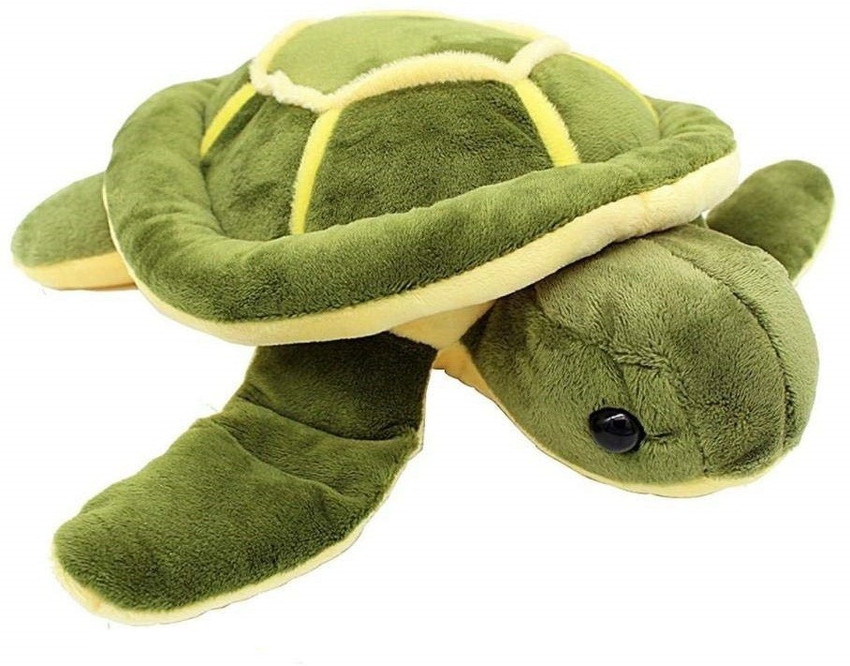 Teddy the turtle hot sale