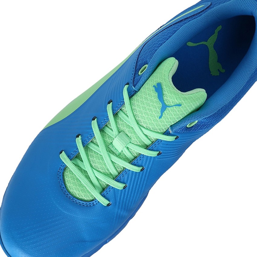 Puma 19.2 Spike Men’s Cricket Shoes - Blue & Elektro Green