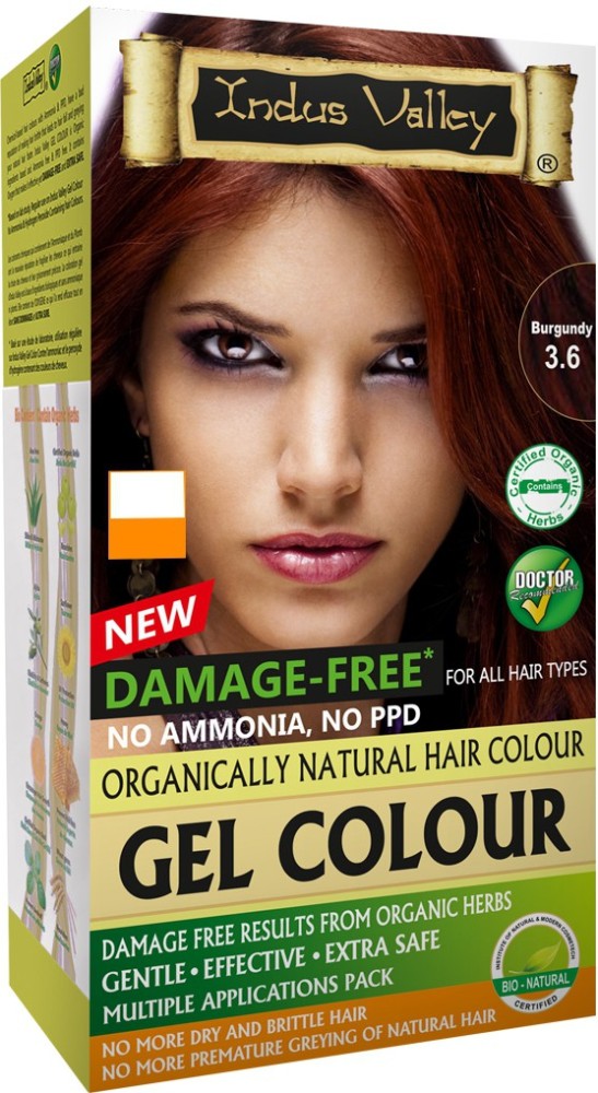 Plants Care Ayurvedic Henna Natural Hair Color Burgundy 240g