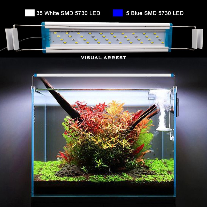 https://rukminim2.flixcart.com/image/850/1000/kex5ci80/aquarium-light/j/r/k/aquarium-extendable-bracket-led-light-for-1-feet-tank-visual-original-imafvh5ysdgnzkk4.jpeg?q=90