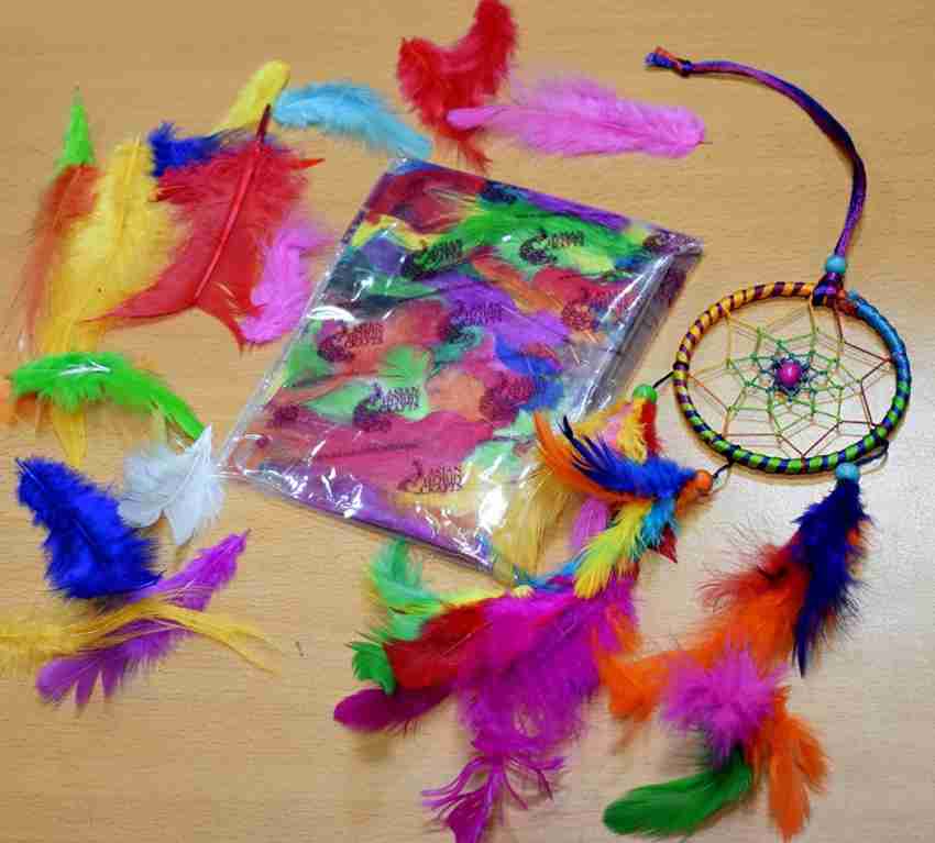 Sing F Ltd 10Pcs Multi Colours Artificial Feathers Arts Crafts 10-12 Long  - 10Pcs Multi Colours Artificial Feathers Arts Crafts 10-12 Long . shop  for Sing F Ltd products in India.