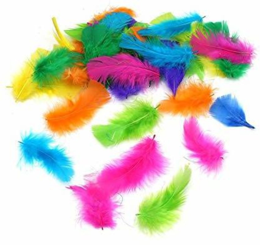 Rainbow Colours Craft Feathers (Pack of 175) Craft Supplies
