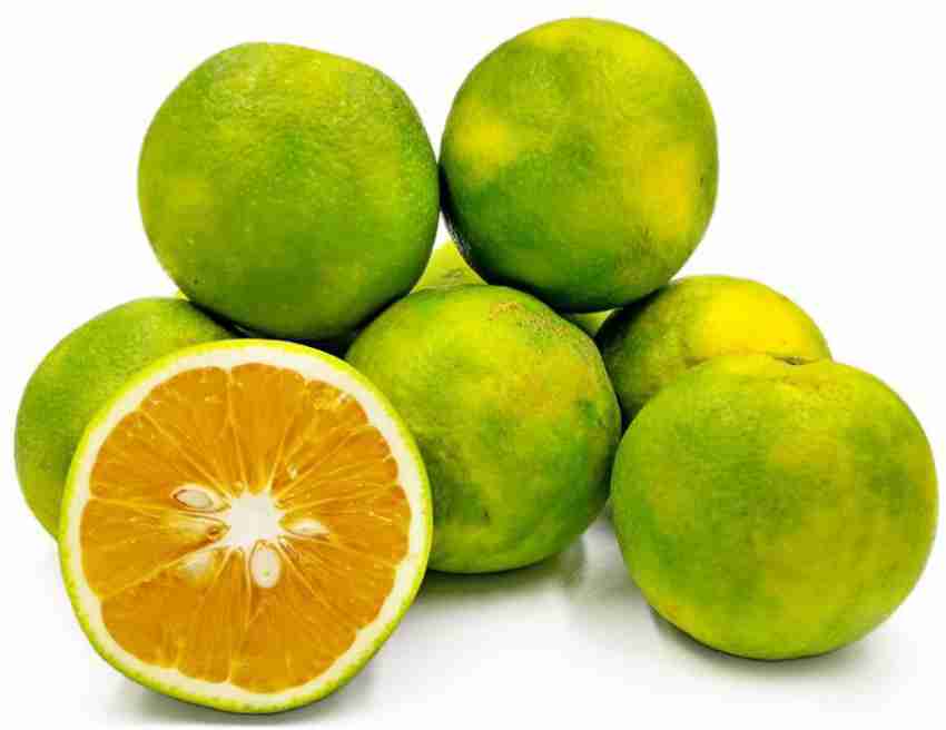 Qualtivate Mosambi Citrus Limetta Plant Seed Price in India Buy Qualtivate Mosambi Citrus Limetta Plant Seed online at Flipkart