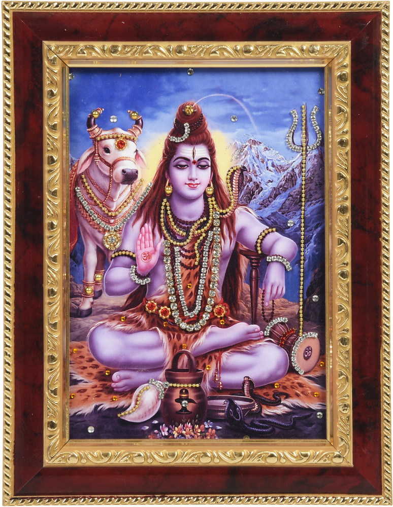 Shiv frame hot sale