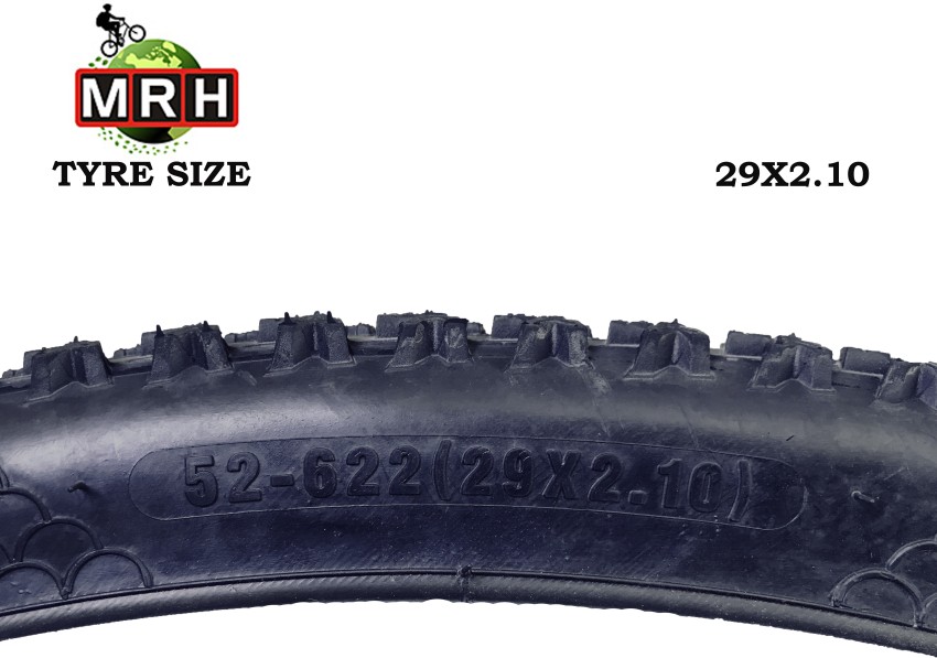 29x2 10 2025 bike tire