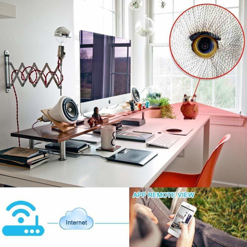 Hidden sales internet camera