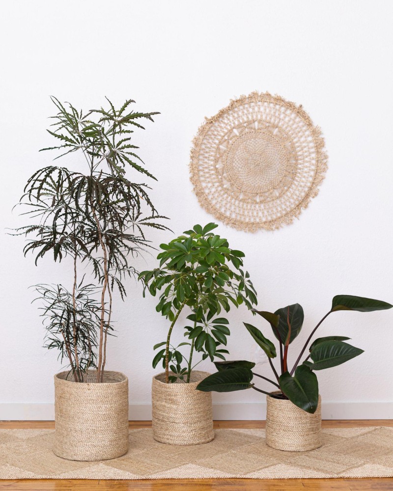 Leafy Tales Handwoven Round Pot Bag in Natural Jute - Plant Bag for hotsell All Plants