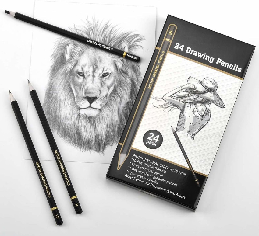 Professional Drawing Sketching Pencils Set,24Pieces Art Pencils  14B,12B,10B,Graphite Shading Pencils for Beginners Pro Artists