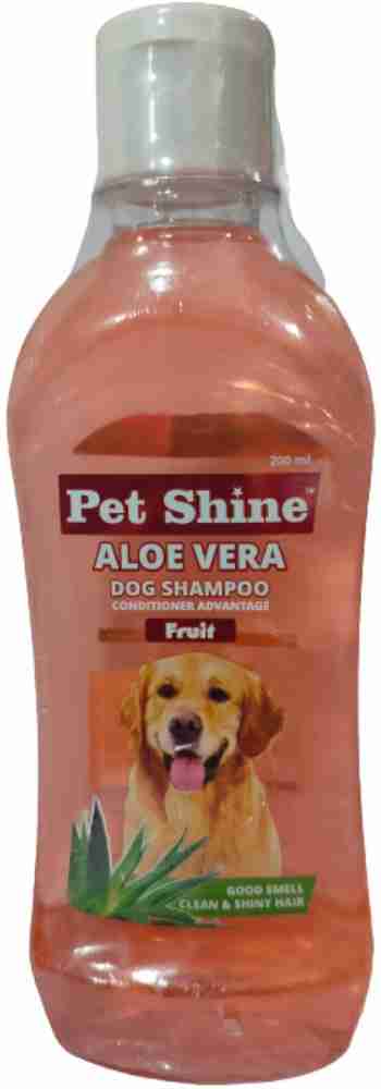 Aloe dog clearance shampoo