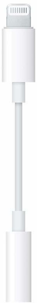 Lightning to online aux adapter apple