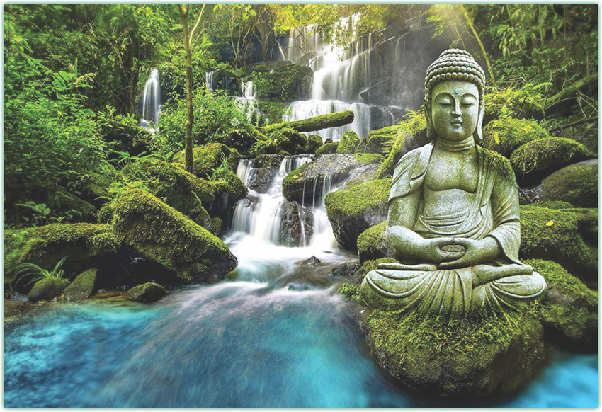 Buddha nature hotsell