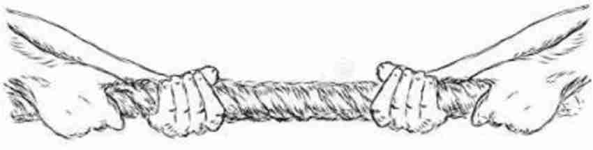 Zodias 5 Meter Long x 19 Mm Thick Tug of War Twisted Cotton Rope