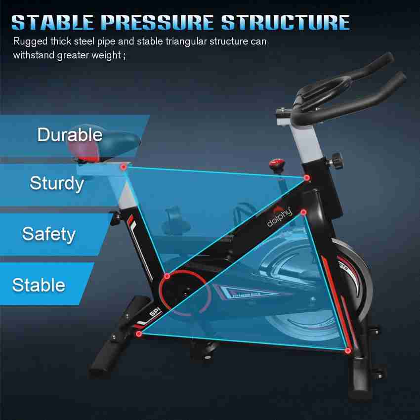 DOLPHY Exercise Spin Bike for Home Gym and Indoor Cycling Spinner