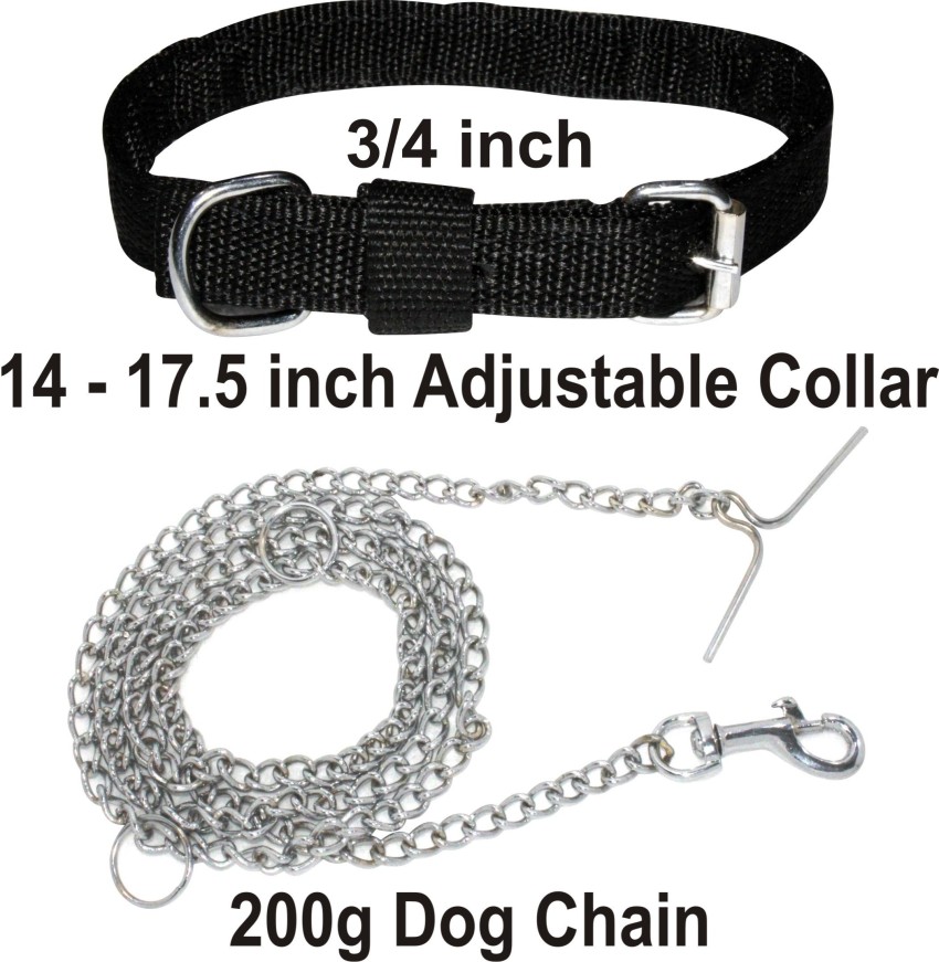 Dog belt best sale chain price