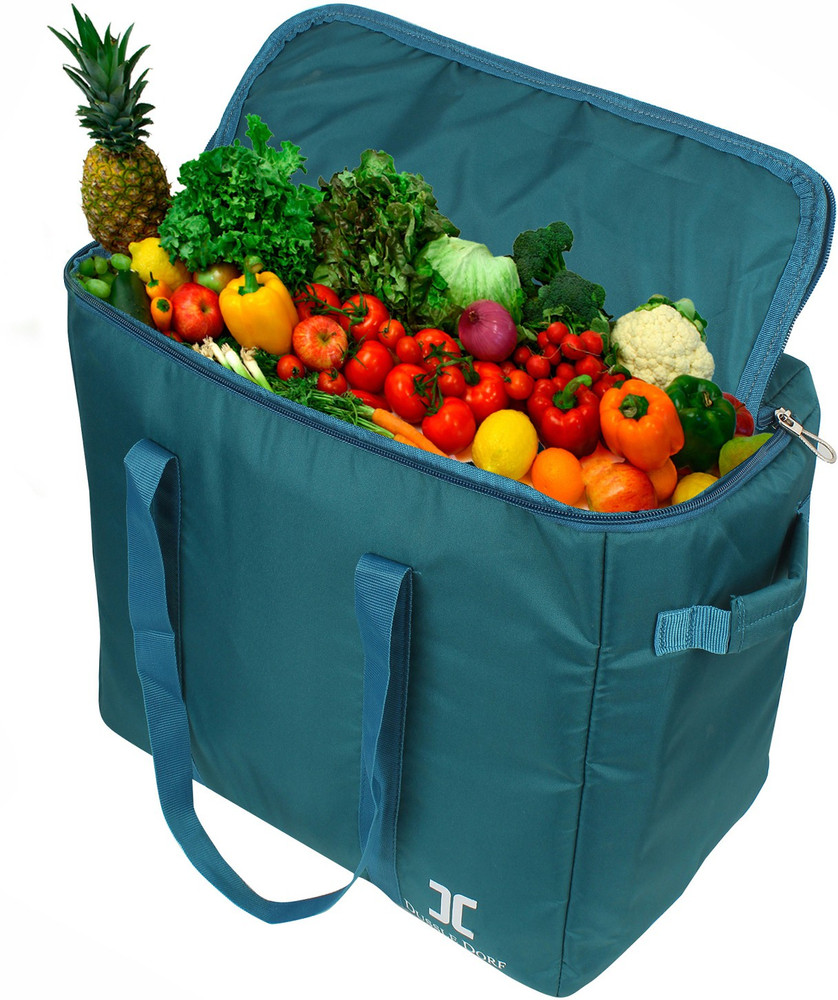 Cooler best sale bag groceries