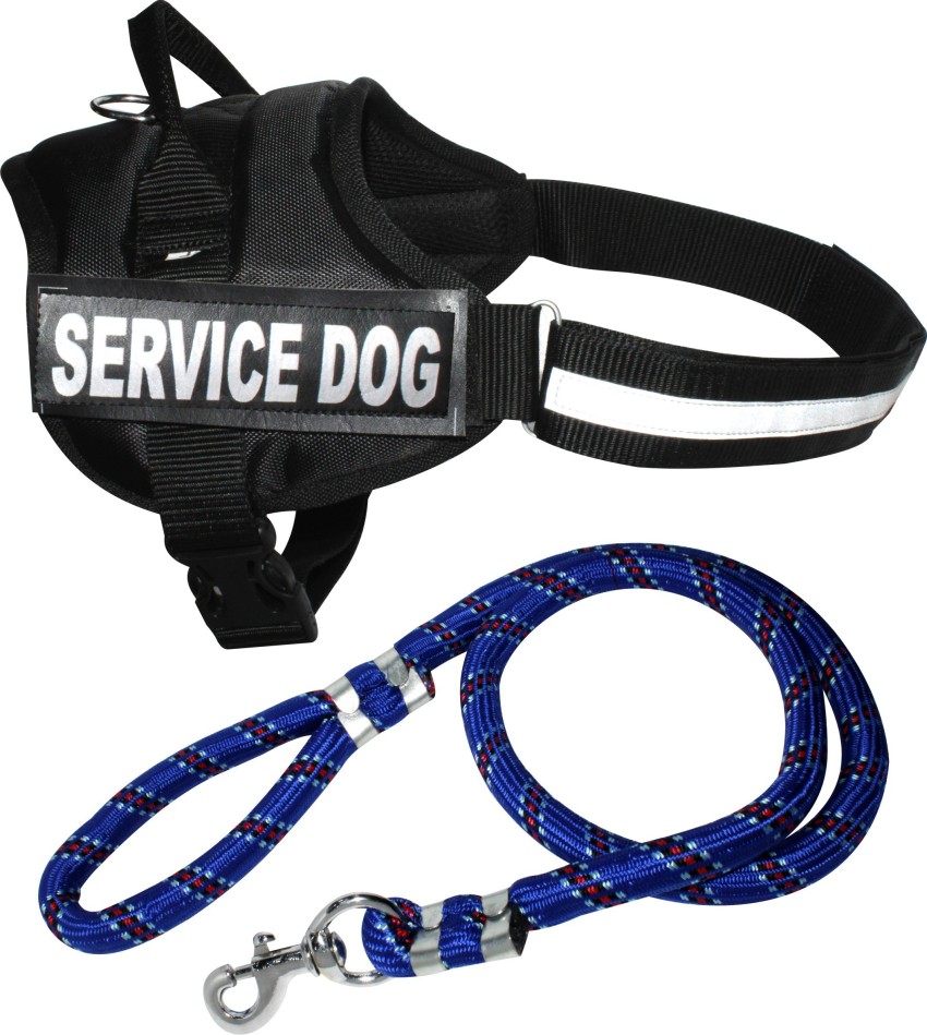 BODY BUILDING Dog Belt Combo of Black Service Dog Harness Belt Padded Adjustable Chest Size 70 100 cm with Blue Lead Dog Harness Leash Dog Harness Leash Price in